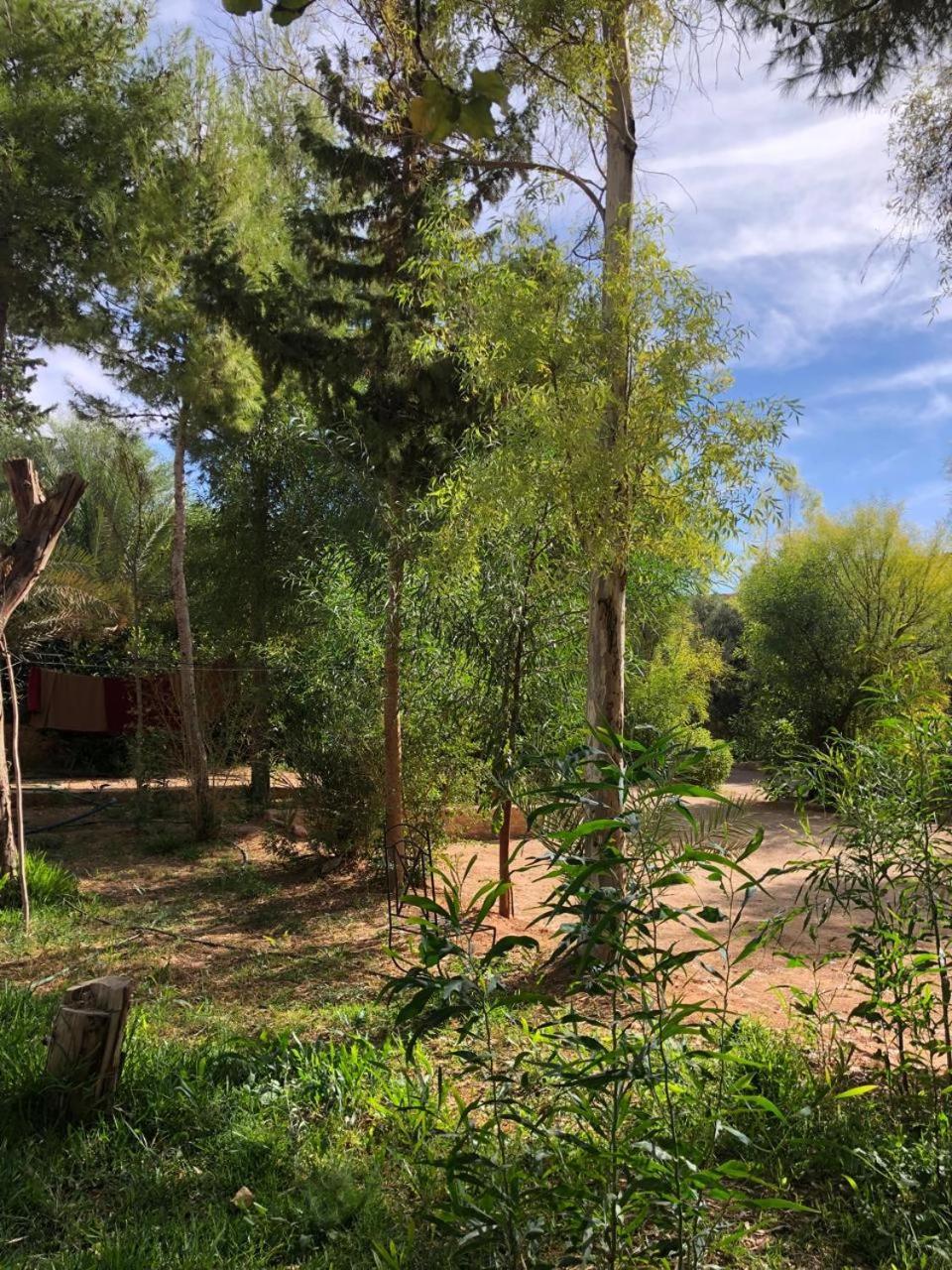 Hotel Camping Le Soleil Tinghir Exterior foto